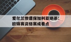 包含爱尔兰惨遭保加利亚绝杀：欧锦赛资格赛成看点的词条
